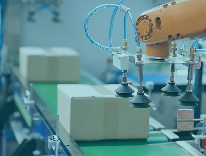 Packaging Assembly Line